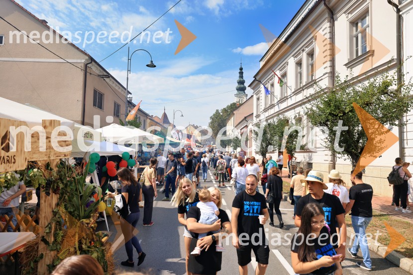 Bogračfest 2025: kulinarični vrhunec Festivala Vinarium