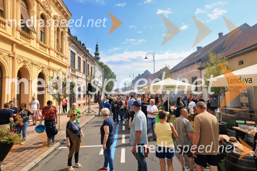 Bogračfest 2025: kulinarični vrhunec Festivala Vinarium