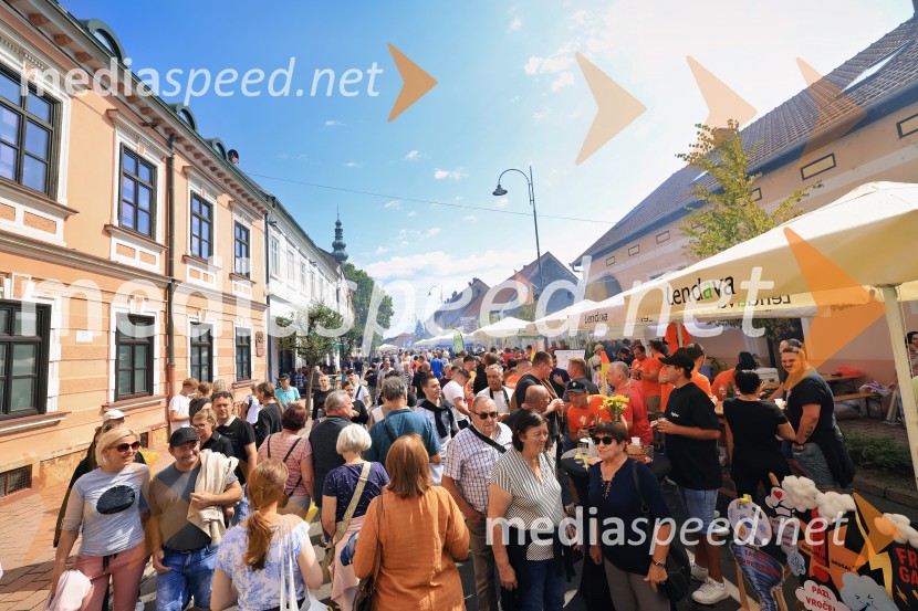 Bogračfest 2025: kulinarični vrhunec Festivala Vinarium