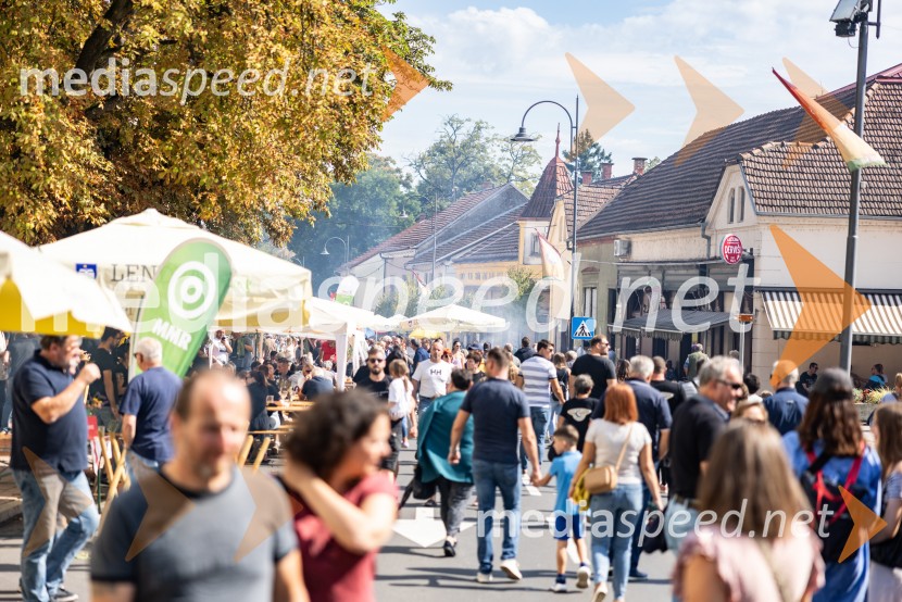 Bogračfest 2025: kulinarični vrhunec Festivala Vinarium