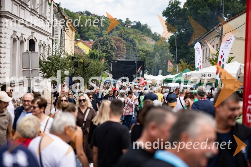 Bogračfest 2025: kulinarični vrhunec Festivala Vinarium