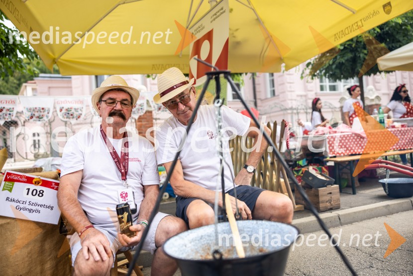 Bogračfest 2025: kulinarični vrhunec Festivala Vinarium