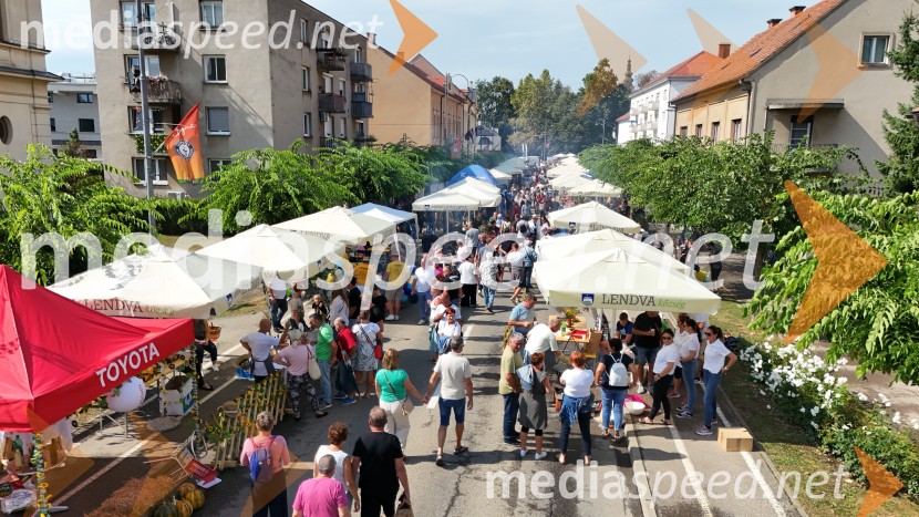 Bogračfest 2025: kulinarični vrhunec Festivala Vinarium