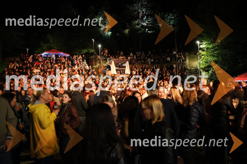 Mi2 na Letnem odru Ruše