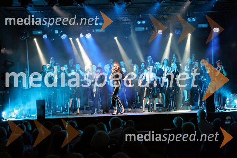 Perpetuum Jazzile navdušili na Letnem odru Ruše