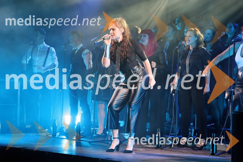 Perpetuum Jazzile navdušili na Letnem odru Ruše