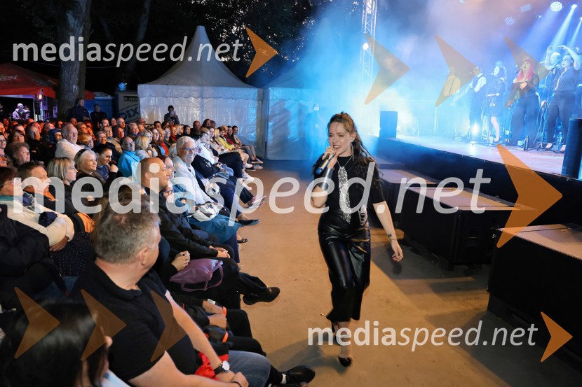 Perpetuum Jazzile navdušili na Letnem odru Ruše