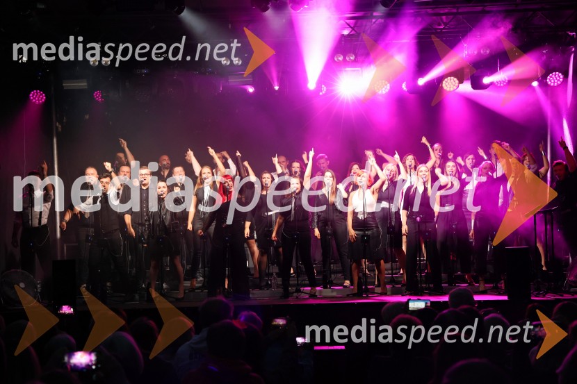 Perpetuum Jazzile navdušili na Letnem odru Ruše