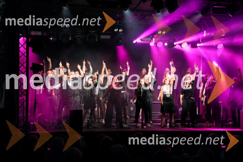 Perpetuum Jazzile navdušili na Letnem odru Ruše