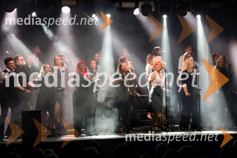 Perpetuum Jazzile navdušili na Letnem odru Ruše