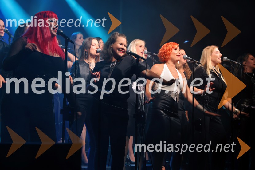 Perpetuum Jazzile navdušili na Letnem odru Ruše