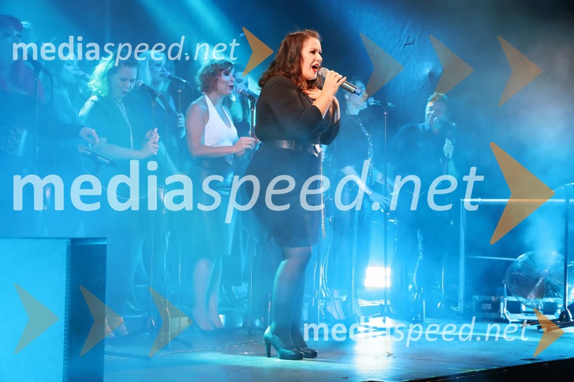 Perpetuum Jazzile navdušili na Letnem odru Ruše