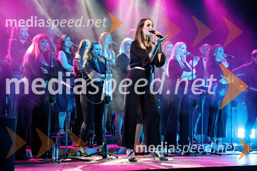 Perpetuum Jazzile navdušili na Letnem odru Ruše