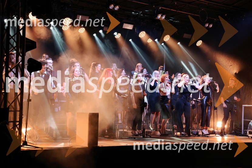 Perpetuum Jazzile navdušili na Letnem odru Ruše