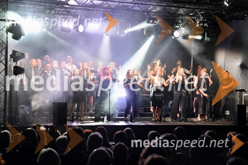 Perpetuum Jazzile navdušili na Letnem odru Ruše