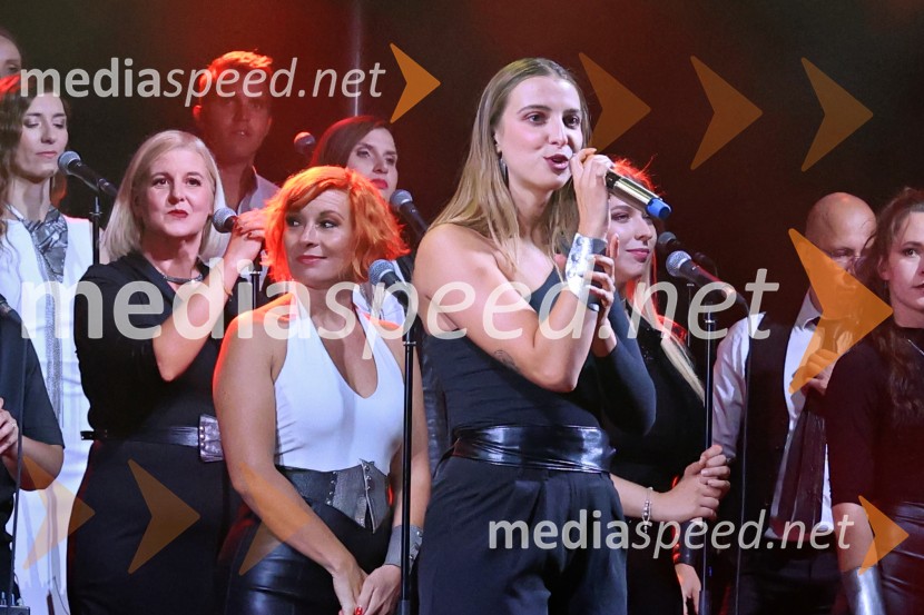 Perpetuum Jazzile navdušili na Letnem odru Ruše
