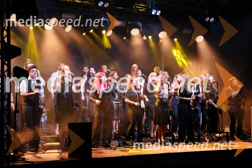 Perpetuum Jazzile navdušili na Letnem odru Ruše