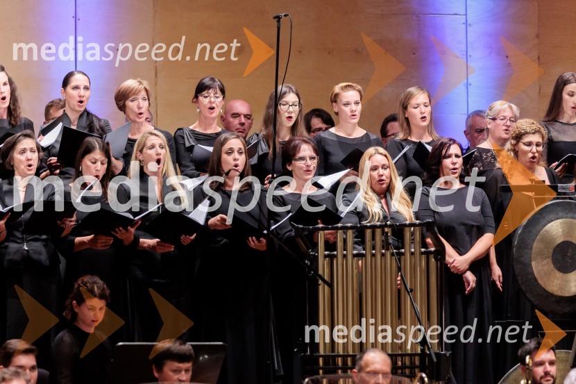 Večer Puccinijeve glasbe, Ljubljana Festival