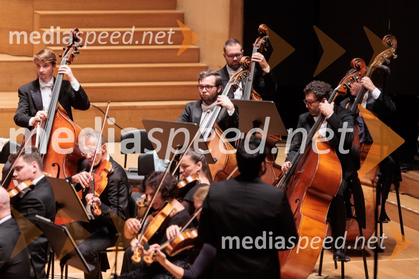 Večer Puccinijeve glasbe, Ljubljana Festival