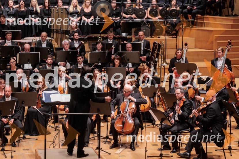 Večer Puccinijeve glasbe, Ljubljana Festival