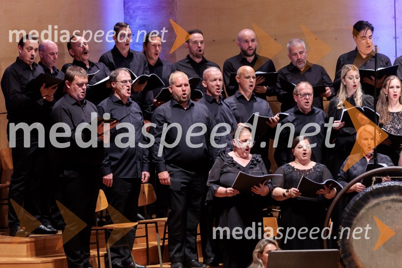 Večer Puccinijeve glasbe, Ljubljana Festival