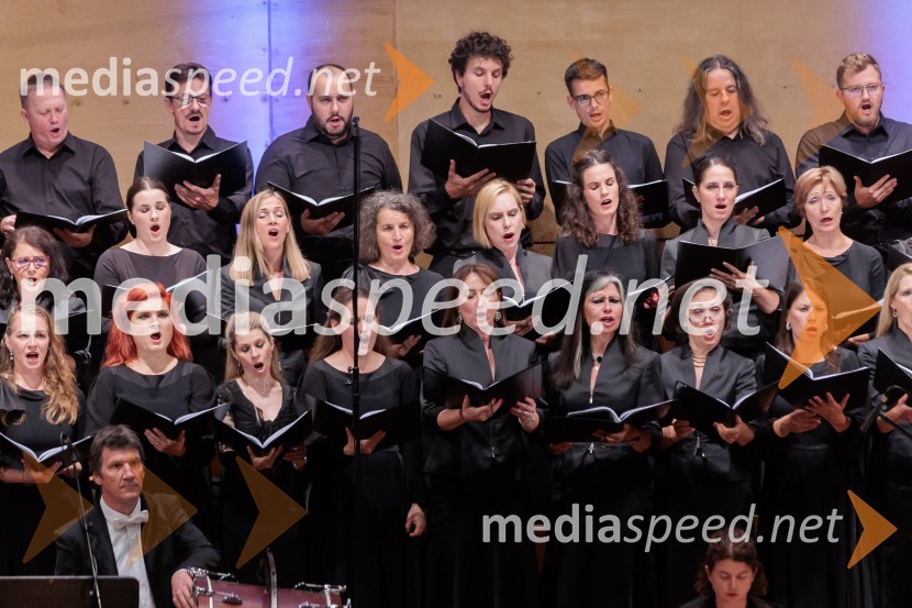 Večer Puccinijeve glasbe, Ljubljana Festival