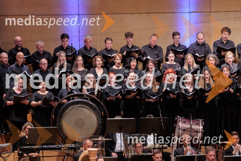 Večer Puccinijeve glasbe, Ljubljana Festival