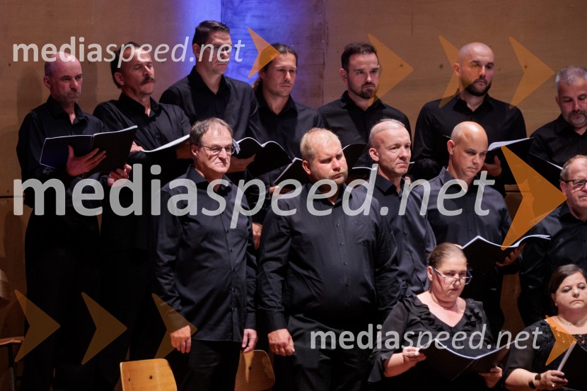 Večer Puccinijeve glasbe, Ljubljana Festival