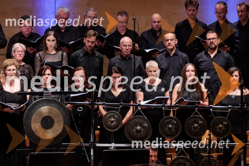 Večer Puccinijeve glasbe, Ljubljana Festival