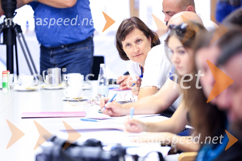 Europark praznuje 25 let, novinarska konferenca