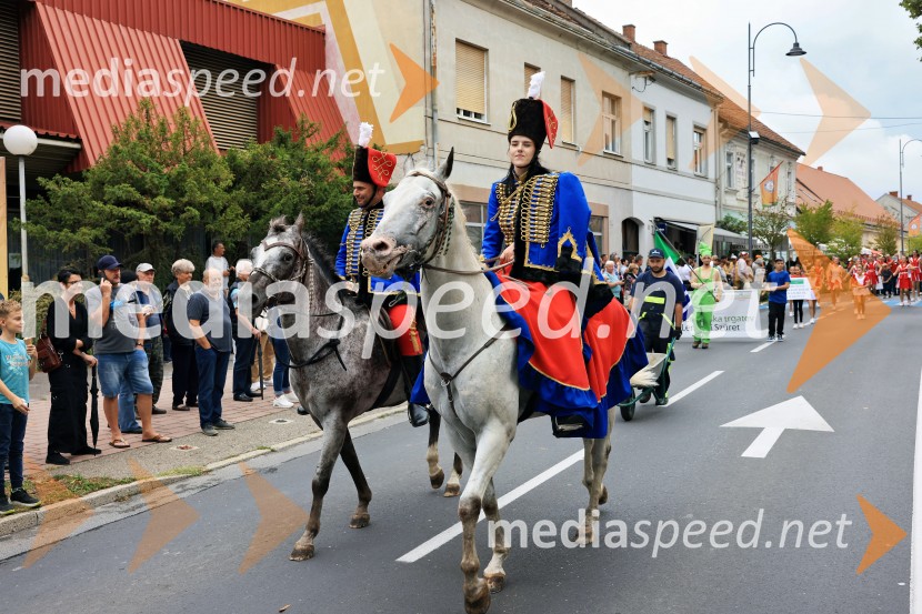 46. Lendavska trgatev 2025