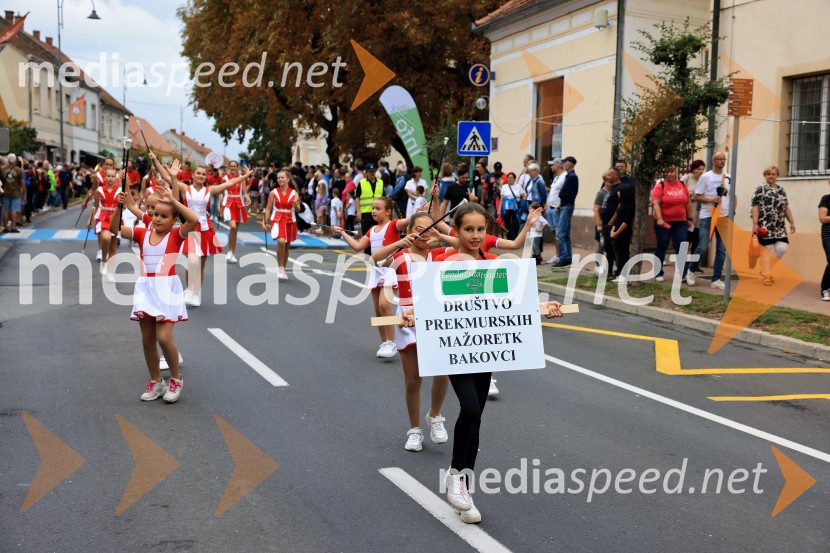 46. Lendavska trgatev 2025