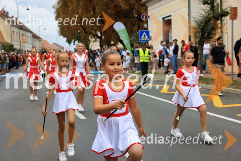 46. Lendavska trgatev 2025