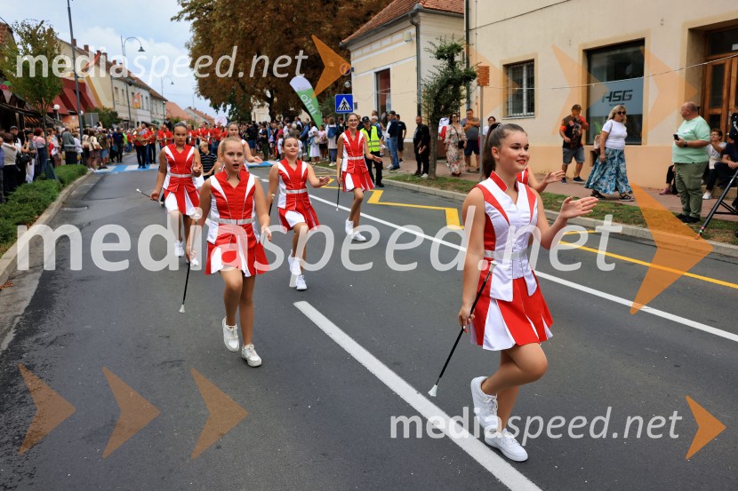 46. Lendavska trgatev 2025