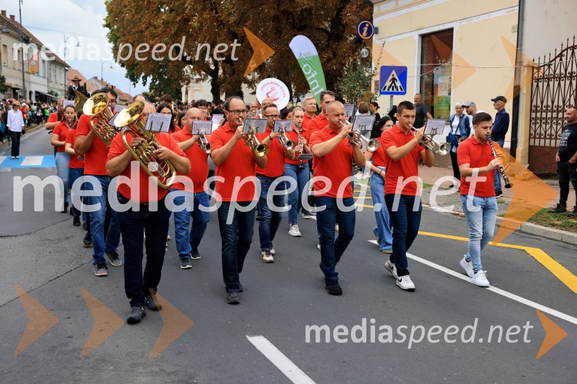 46. Lendavska trgatev 2025