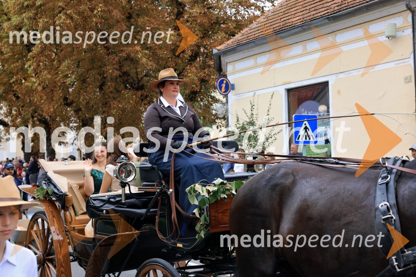 46. Lendavska trgatev 2025