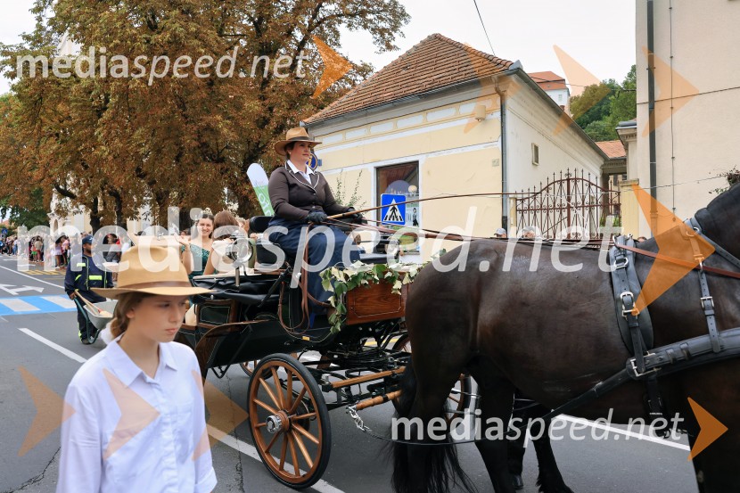 46. Lendavska trgatev 2025