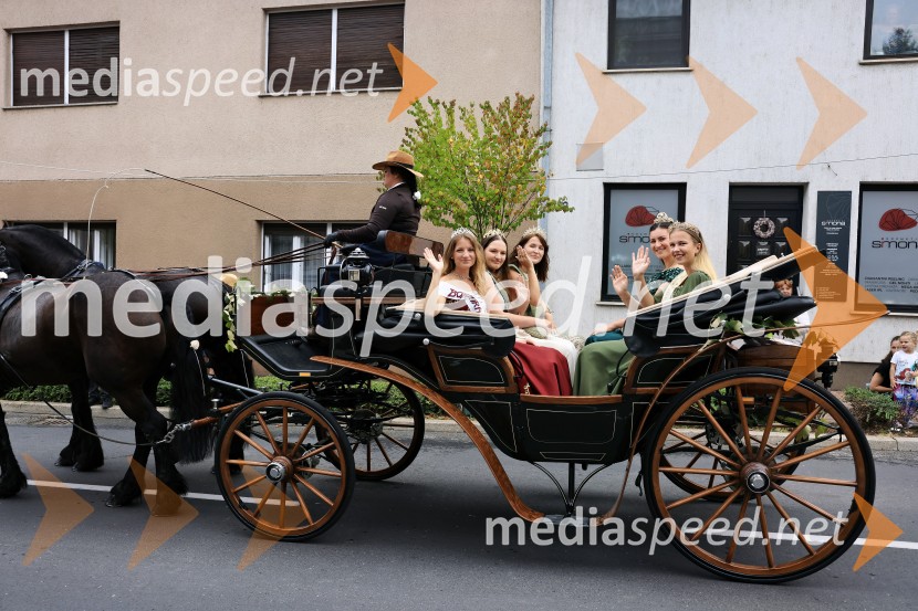 46. Lendavska trgatev 2025