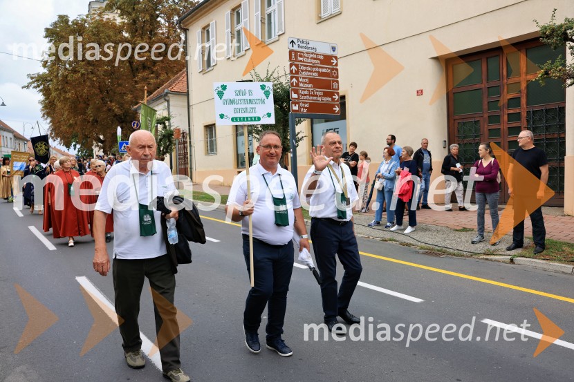 46. Lendavska trgatev 2025