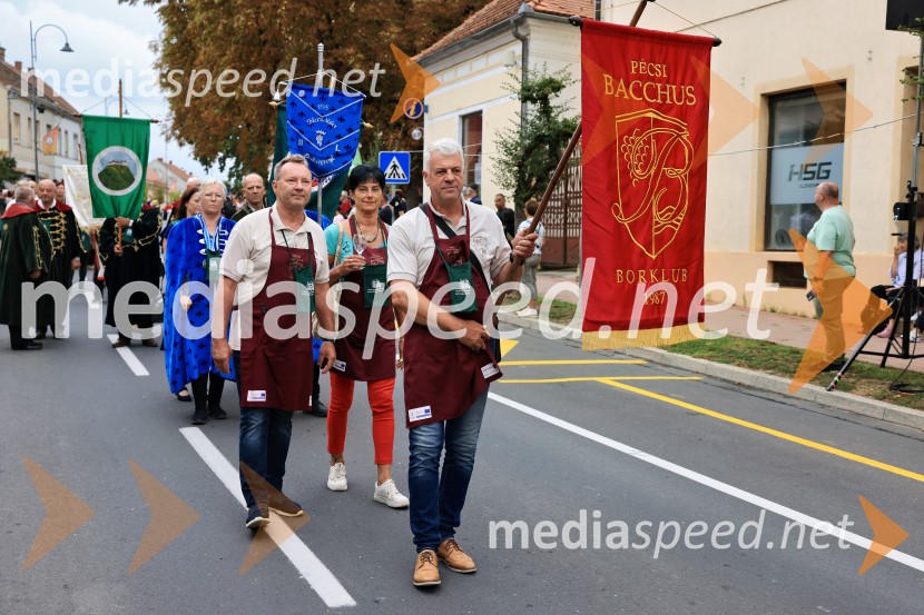 46. Lendavska trgatev 2025