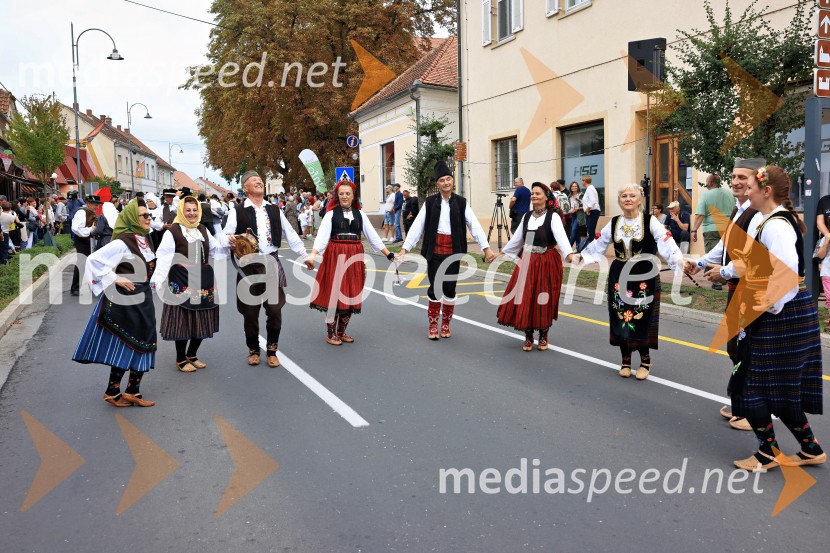 46. Lendavska trgatev 2025