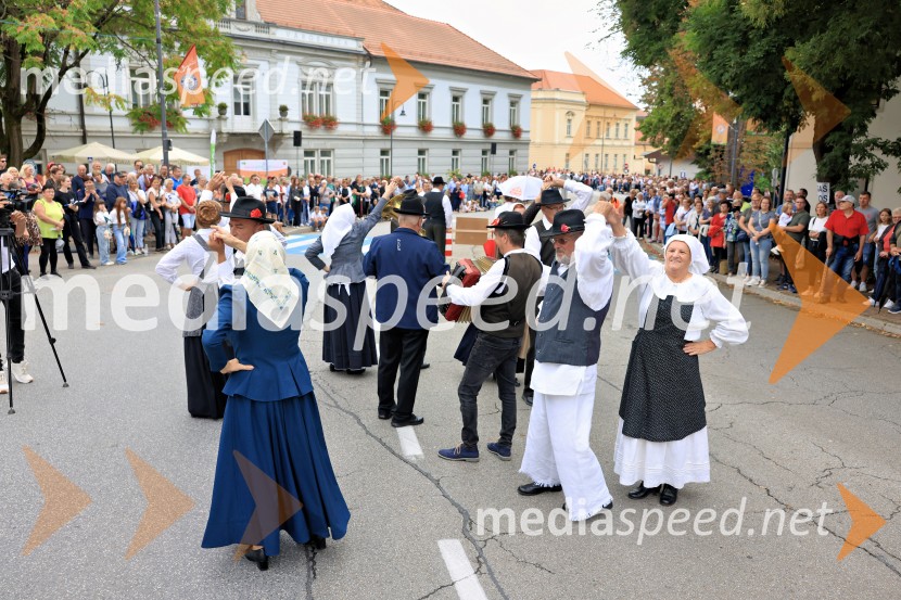 46. Lendavska trgatev 2025