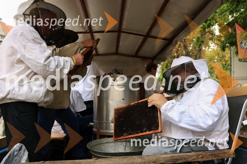 46. Lendavska trgatev 2025