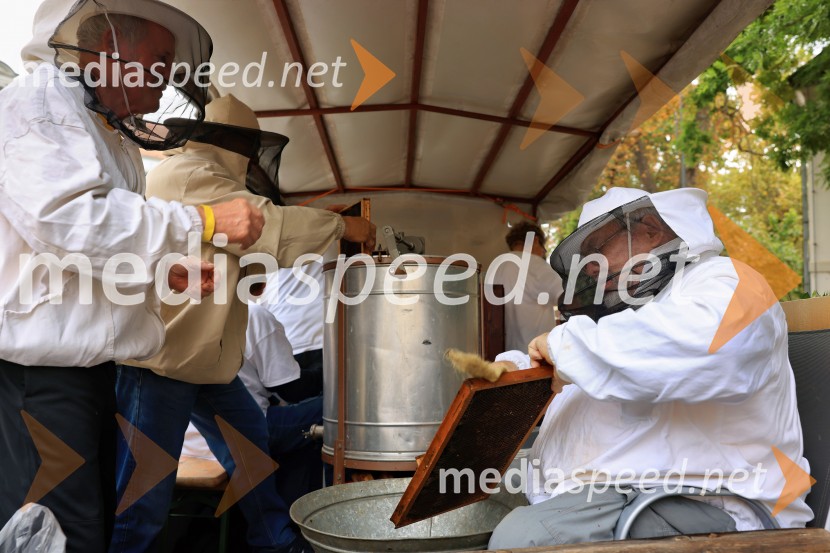 46. Lendavska trgatev 2025