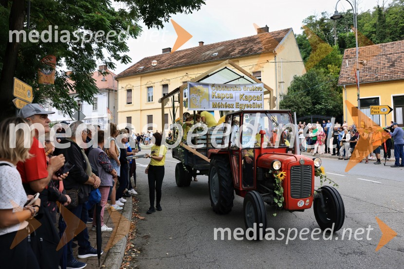 46. Lendavska trgatev 2025