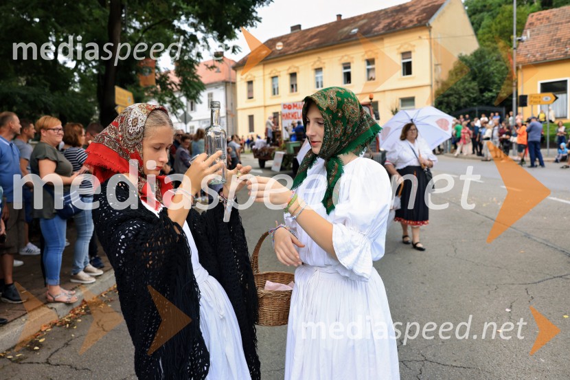 46. Lendavska trgatev 2025