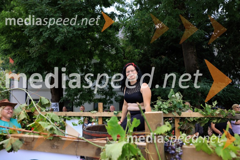 46. Lendavska trgatev 2025