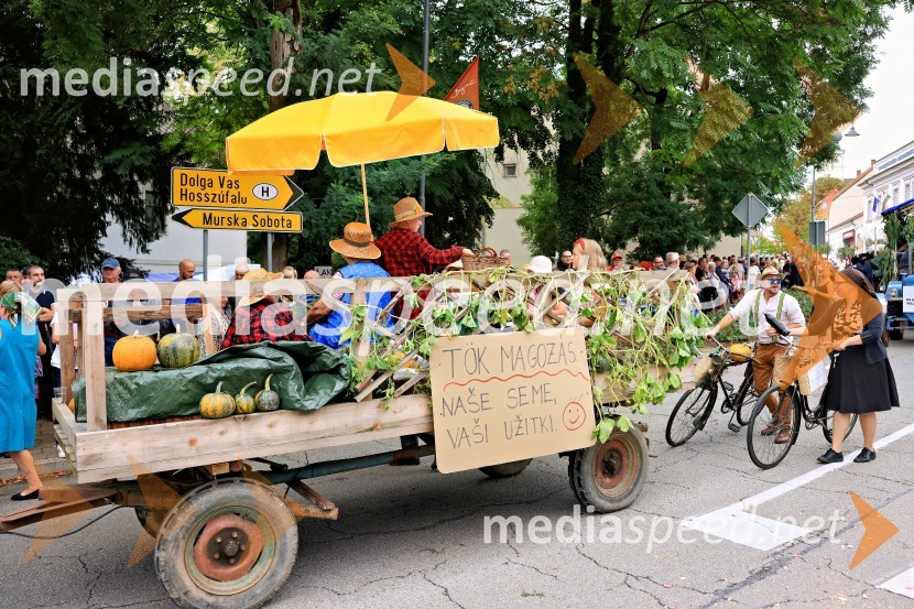 46. Lendavska trgatev 2025