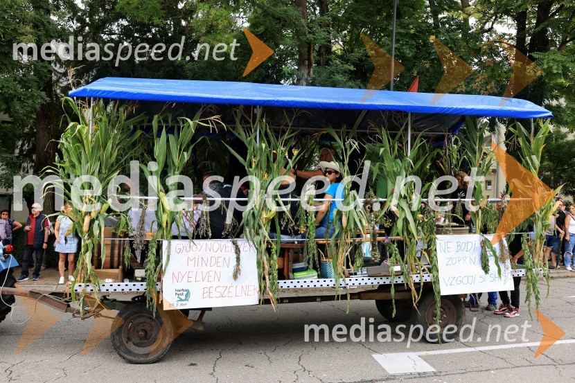 46. Lendavska trgatev 2025