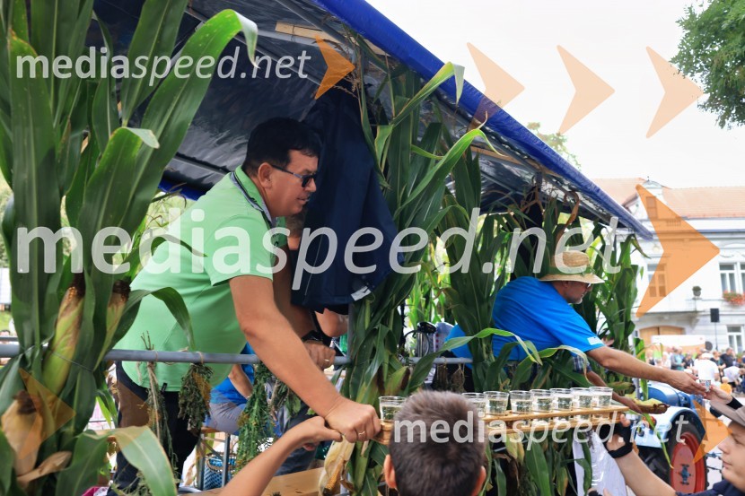 46. Lendavska trgatev 2025